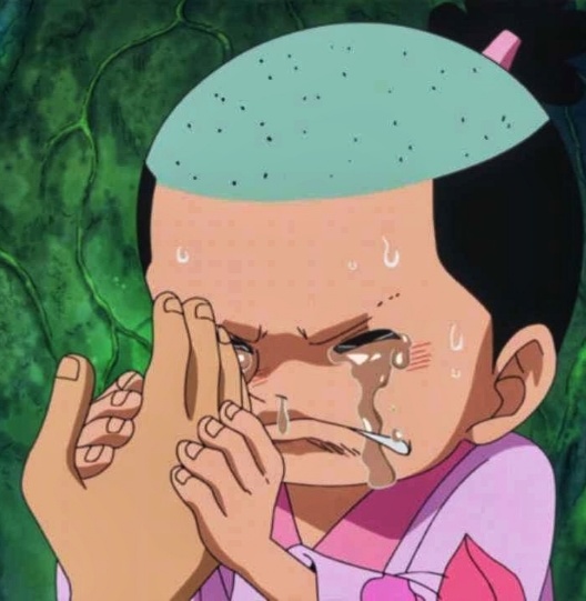 Momonosuke One Piece