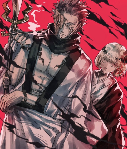 Jujutsu kaisen sukuna appearances