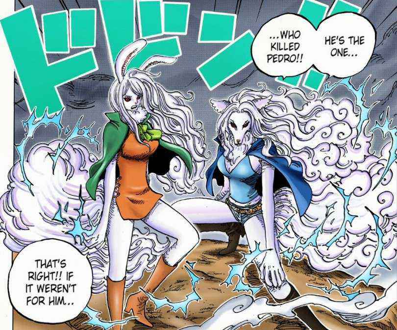 One Piece 845 Spoiler