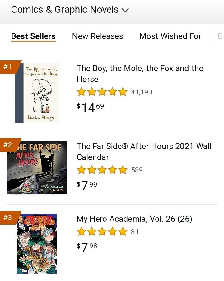 My Hero Academia Amazon USA Brazil