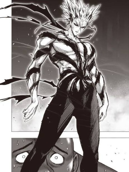 Power Of Garou In One Punch Man