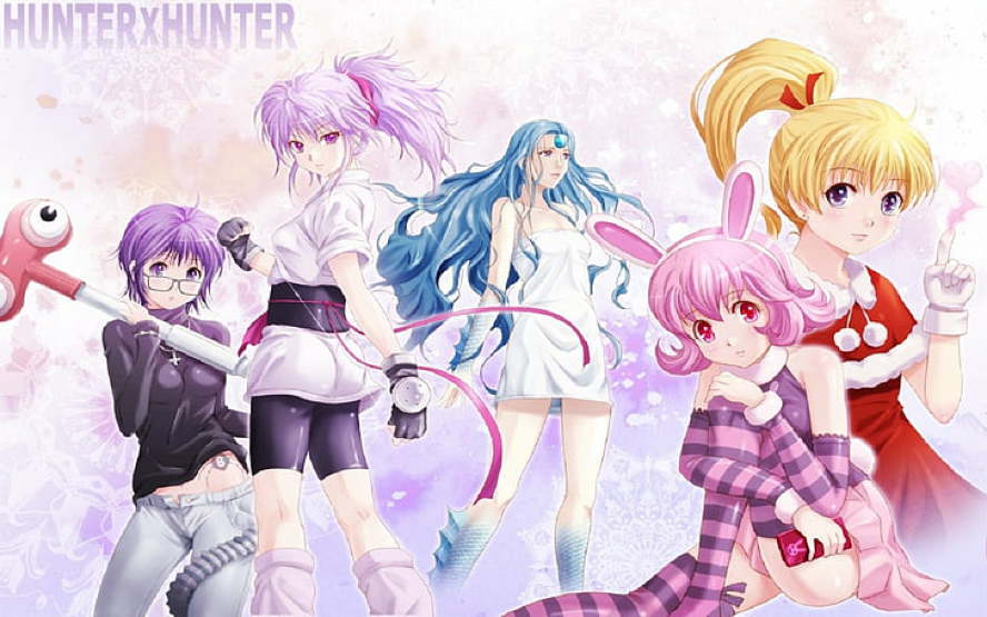 Top 10 Hottest HunterxHunter Female Characters - OtakusNotes.