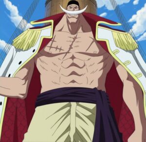 Top 10 Most Powerful One Piece Old Man Characters Ranked