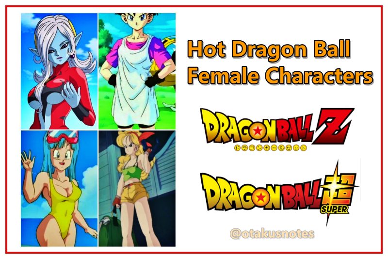Hot Dragon Ball Female Characters