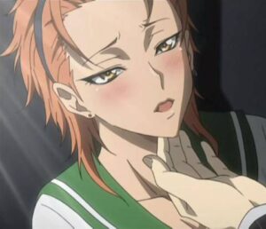 Ranking on Sexiest Girls in Highschool of the Dead : r