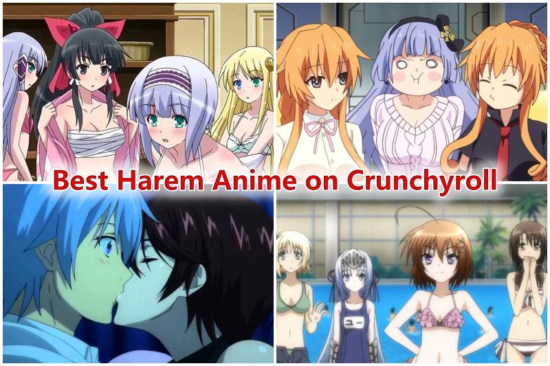 Best Harem Anime on Crunchyroll