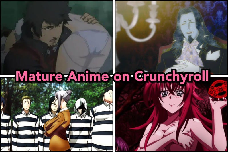 Top 35+ Mature Anime on Crunchyroll (2023 Update) - OtakusNotes