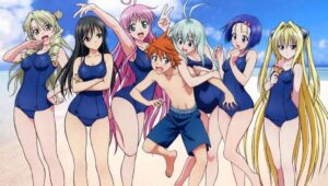 20+ Dubbed Harem Anime On Crunchyroll
