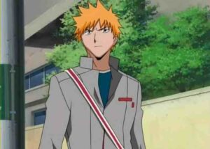 Ichigo Human Form