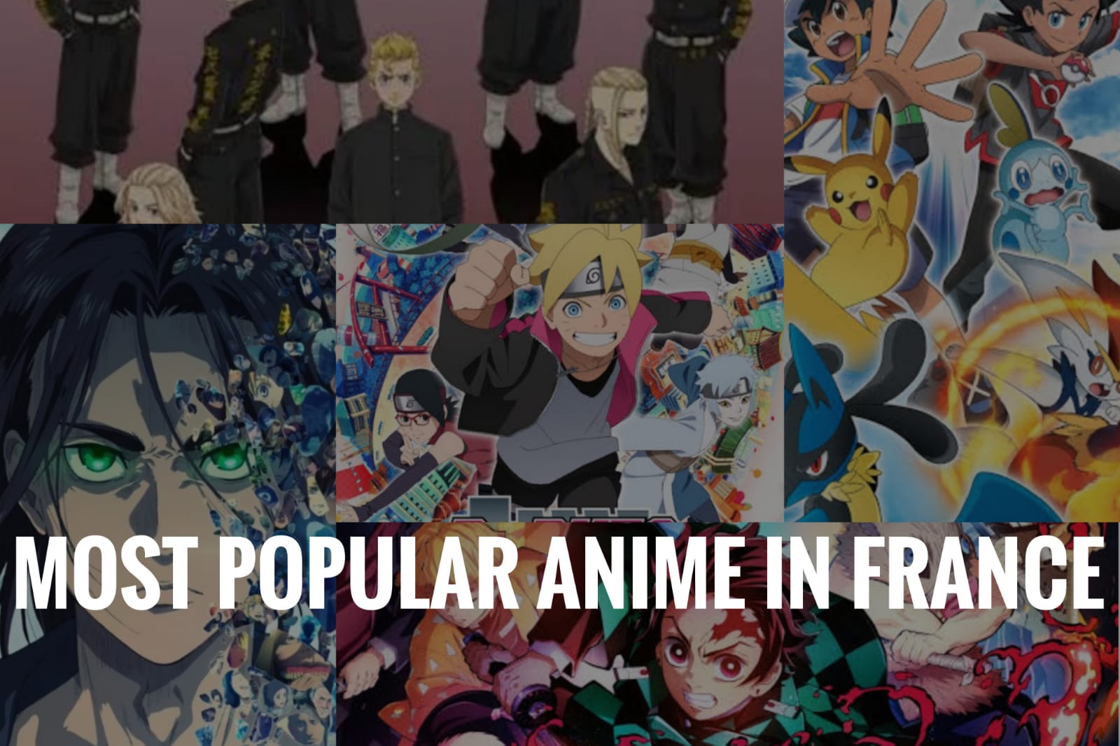 Most Popular Anime in France