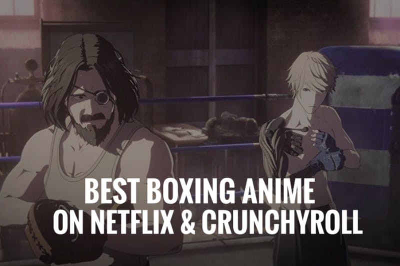 Top 7 Best Boxing Anime on Netflix & Crunchyroll (2023) - OtakusNotes