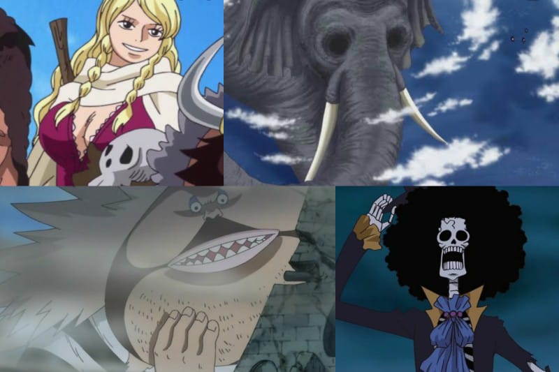 oldest one piece characters (living)