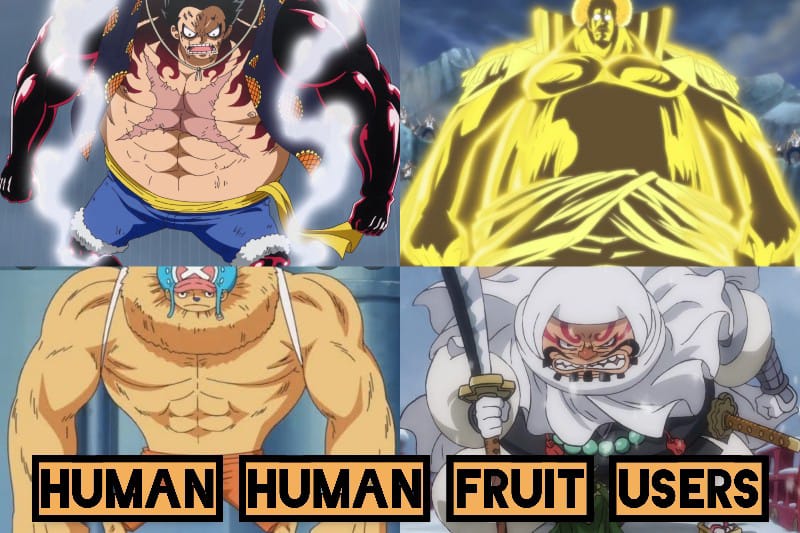 Human Human Fruit users One Piece