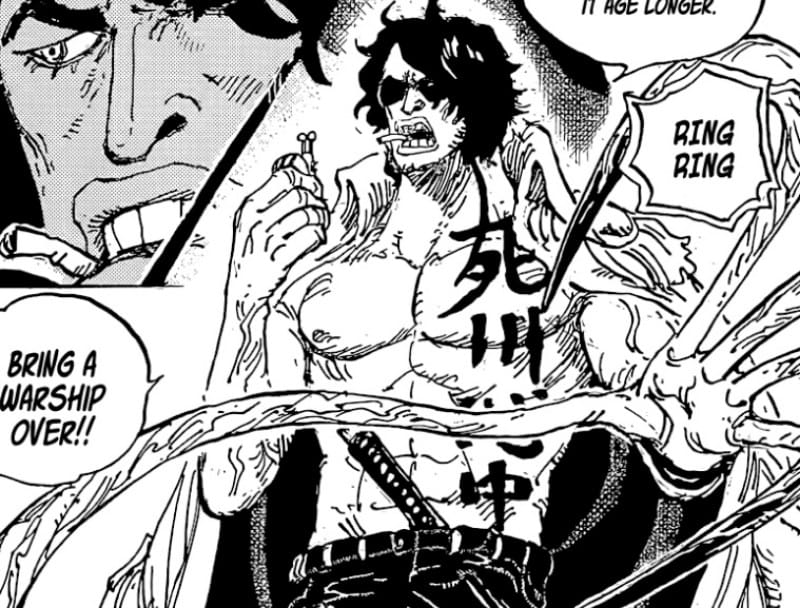 Ryokogyu One Piece Chapter 1054