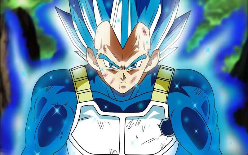 Vegeta Super Saiyan God Blue Shinka