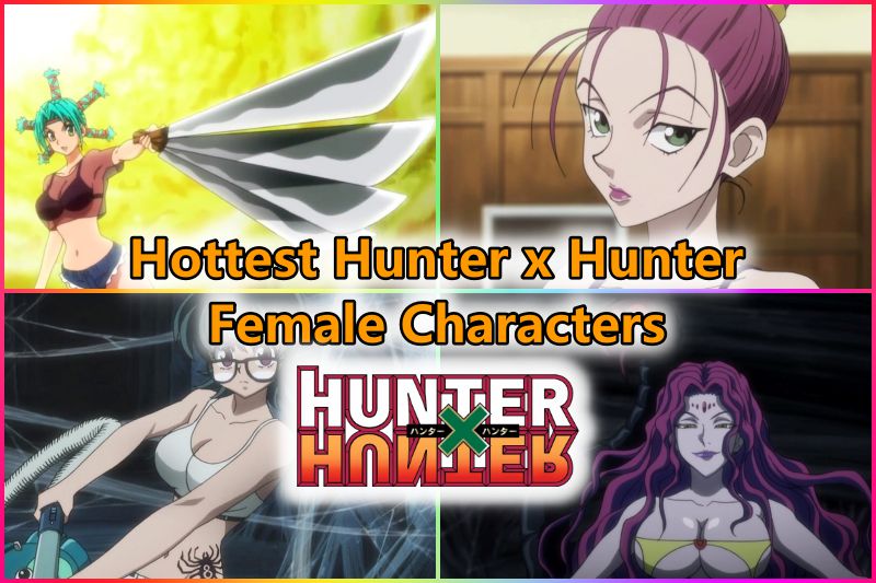 Hottest Hunter x Hunter Female Characters