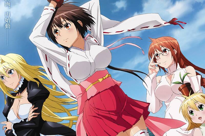 Samurai Harem TV  Anime News Network