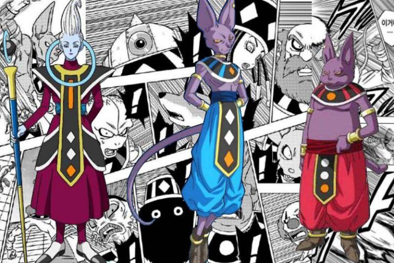 Strongest Person Beerus Fought in Dragon Ball