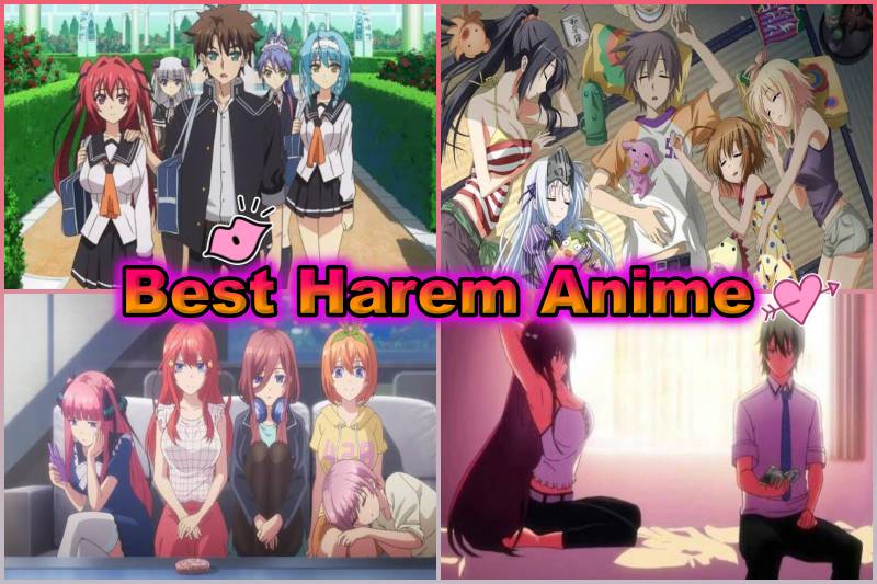 Top 20 Best Harem Anime on Netflix, Funimation, Crunchyroll