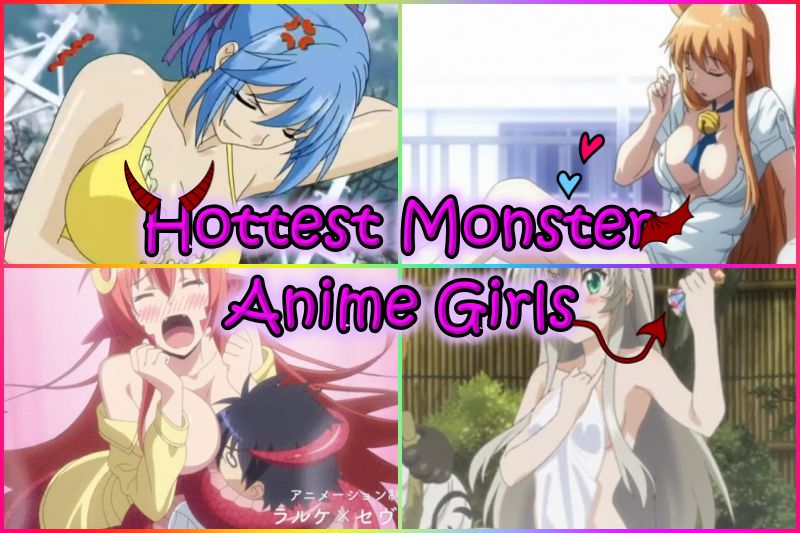 20 Hottest Monster Anime Girls (Sexiest Female Characters) Ranked -  OtakusNotes