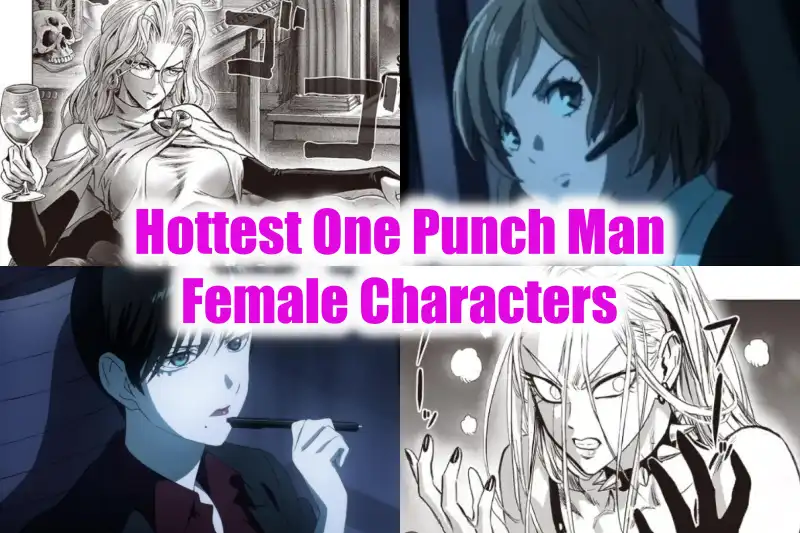 Hottest One Punch Man Female Characters