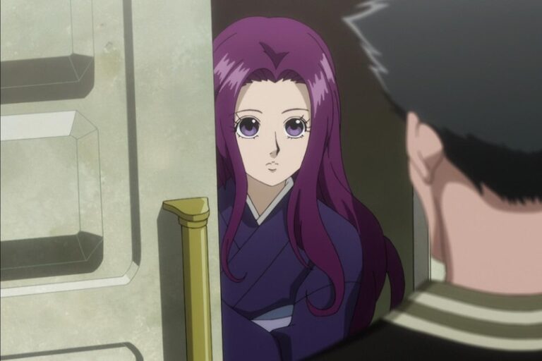 Top 10 Hottest HunterxHunter Female Characters OtakusNotes