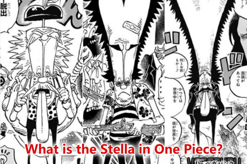 the Stella in One Piece