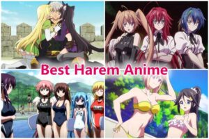 Top 20 Best Harem Anime On Netflix Funimation Crunchyroll Hulu Best Harem Anime 300x200 