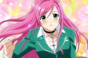 Top 20 Best Harem Anime on Netflix, Funimation, Crunchyroll, & Hulu