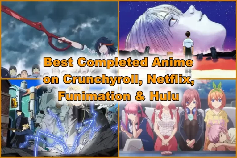 Best Completed Anime