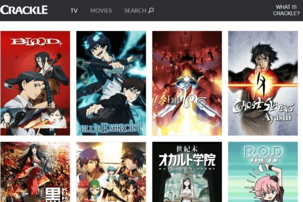 best anime app for firestick 2023TikTok Search