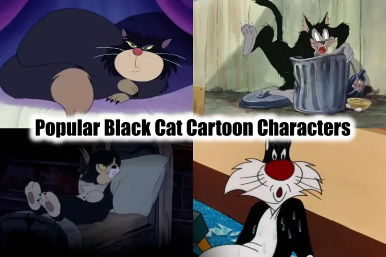 Black Cat Cartoon Characters