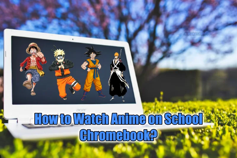 Watch Anime on School Chromebook
