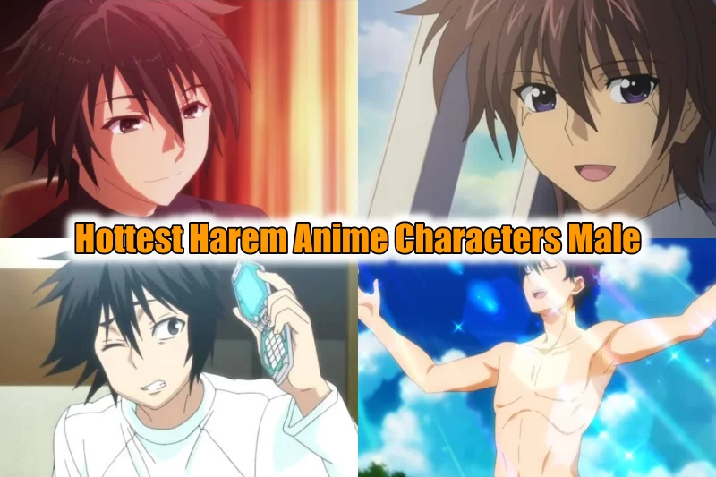 Hottest Harem Anime Characters Male