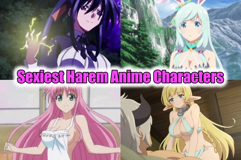 Sexiest Harem Anime Characters Female