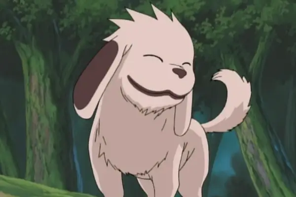 Akamaru