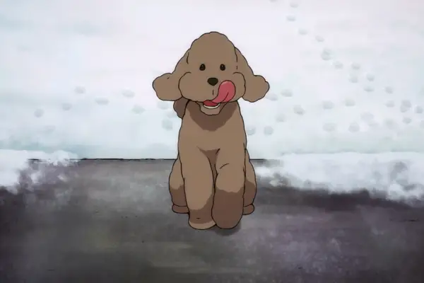 Makkachin