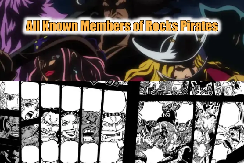 All Known Members of Rocks Pirates