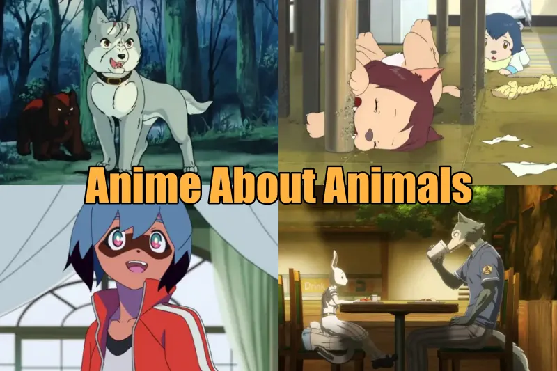 Anime About Animals