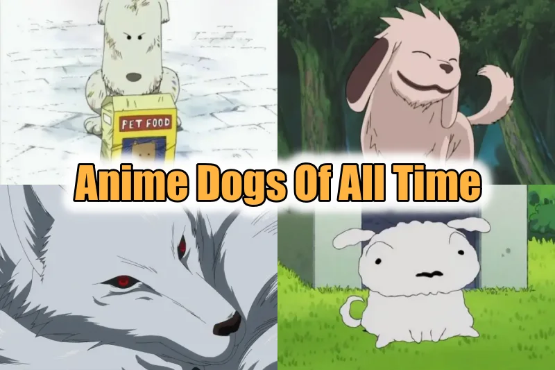 The 15 Greatest Anime Dogs of All Time