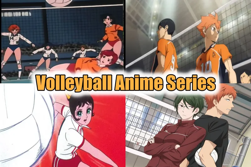 Volleyball Anime Series