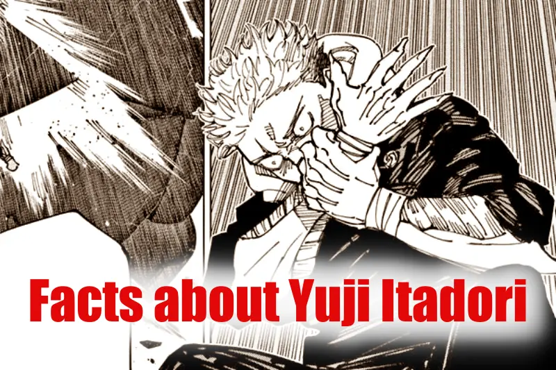 Facts about Yuji Itadori