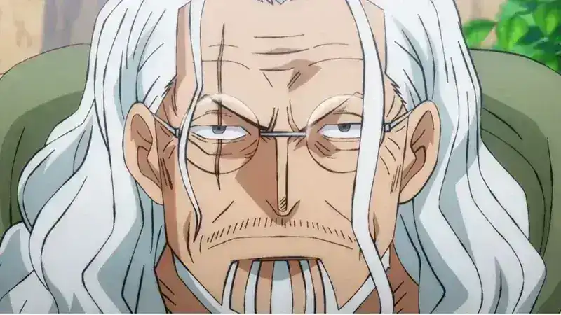 The image is a close-up depiction of the character Silvers Rayleigh from the One Piece series.