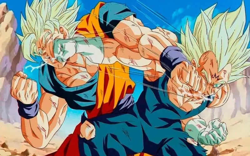 Goku and Vegeta fighting