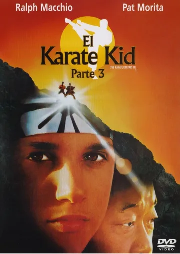 This image shows the DVD cover for the 1989 martial arts film The Karate Kid Part III, featuring Ralph Macchio and Pat Morita.
