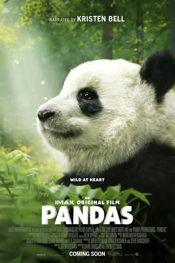 This image shows the official poster for the 2018 IMAX documentary film Pandas